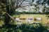 Locatiile TreeHouse - locatii de nunti in aer liber in natura - top locatii de nunta la padure-piscina