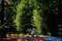 Locatiile TreeHouse - locatii de nunti in aer liber in natura - top locatii de nunta la padure-piscina