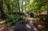 Nunta in padure la TreeHouse In The Woods