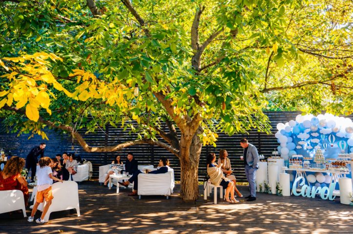 Locatiile TreeHouse - locatii de nunti in aer liber in natura - top locatii de nunta la padure-piscina