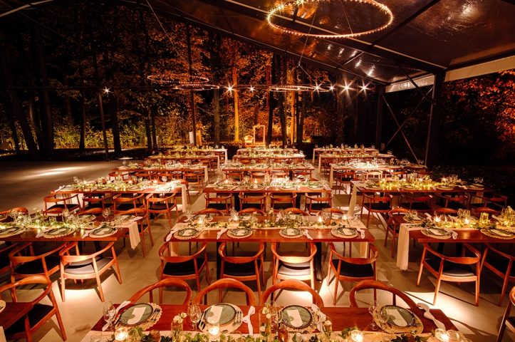 Nuna in padure TreeHouse Lagoon