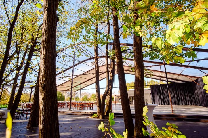Nunta in padue piscina TreeHouse Lagoon