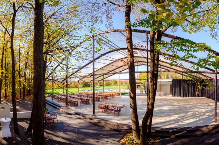 Nunta in padue piscina TreeHouse Lagoon