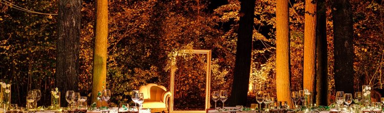 Nuna in padure TreeHouse Lagoon