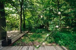 Locatiile TreeHouse - locatii de nunti in aer liber in natura - top locatii de nunta la padure-piscina