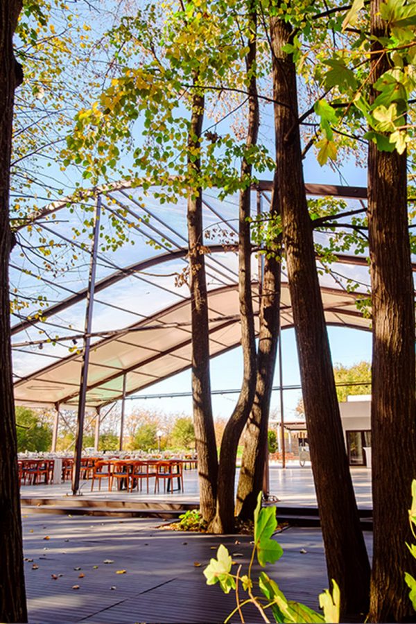 Nunta in padue piscina TreeHouse Lagoon