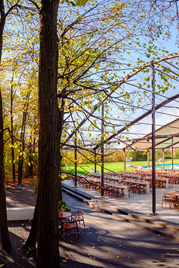 Nunta in padue piscina TreeHouse Lagoon