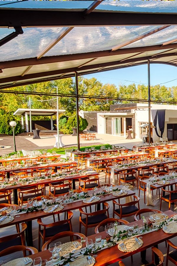 Nunta in padue piscina TreeHouse Lagoon