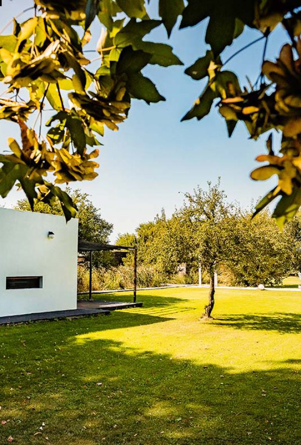 Locatiile TreeHouse - locatii de nunti in aer liber in natura - top locatii de nunta la padure-piscina