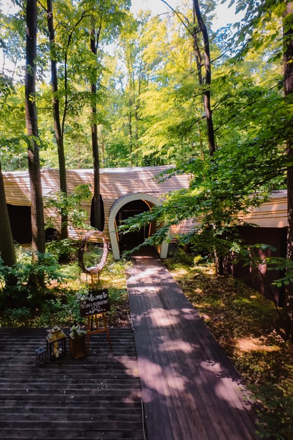 Nunta in padure la TreeHouse In The Woods