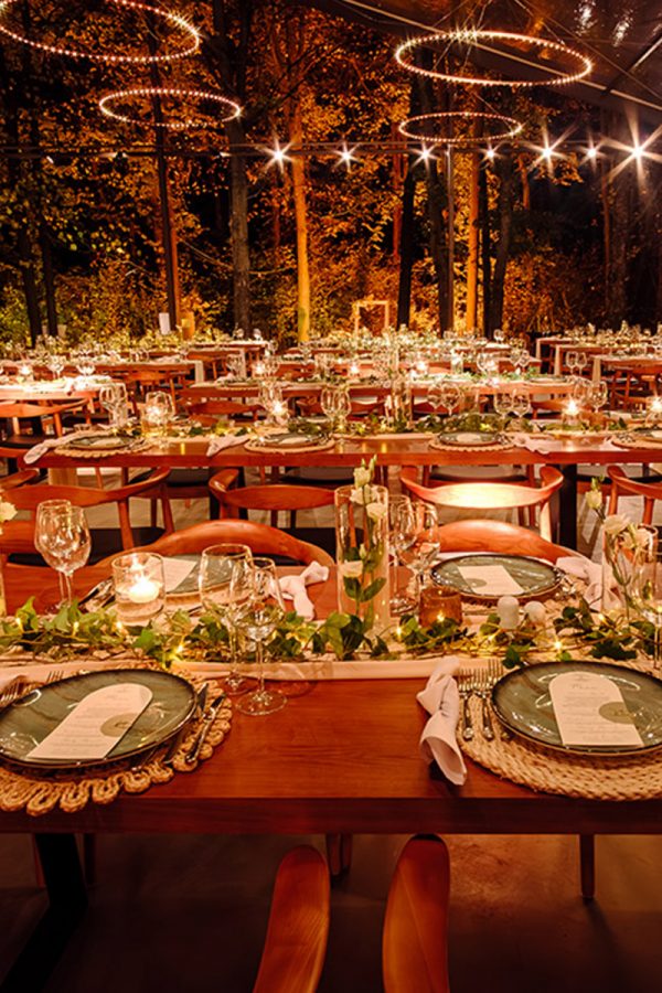 Nuna in padure TreeHouse Lagoon