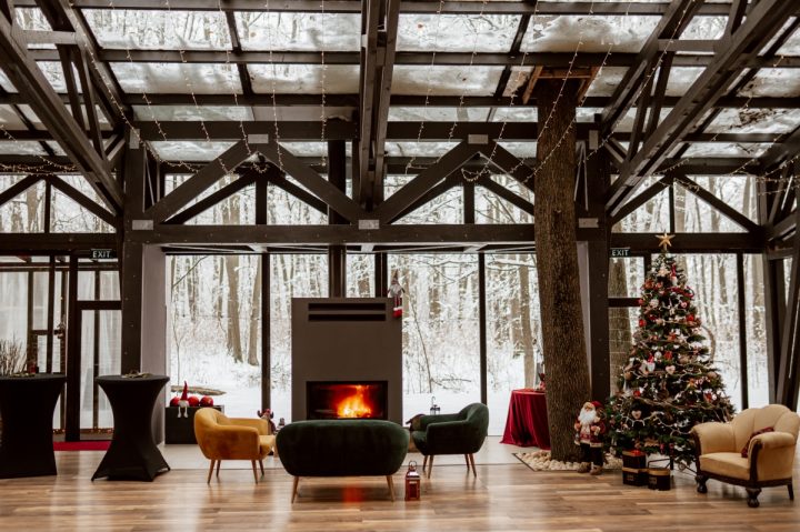 Ssnonnow White inThe Woods - nunta iarna in padure TreeeHouse